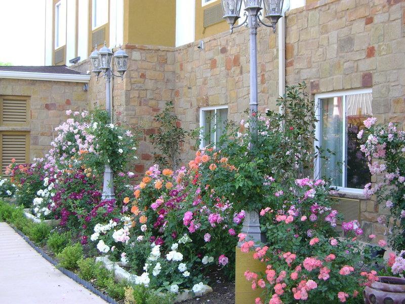 Blanco River Hotel Екстериор снимка